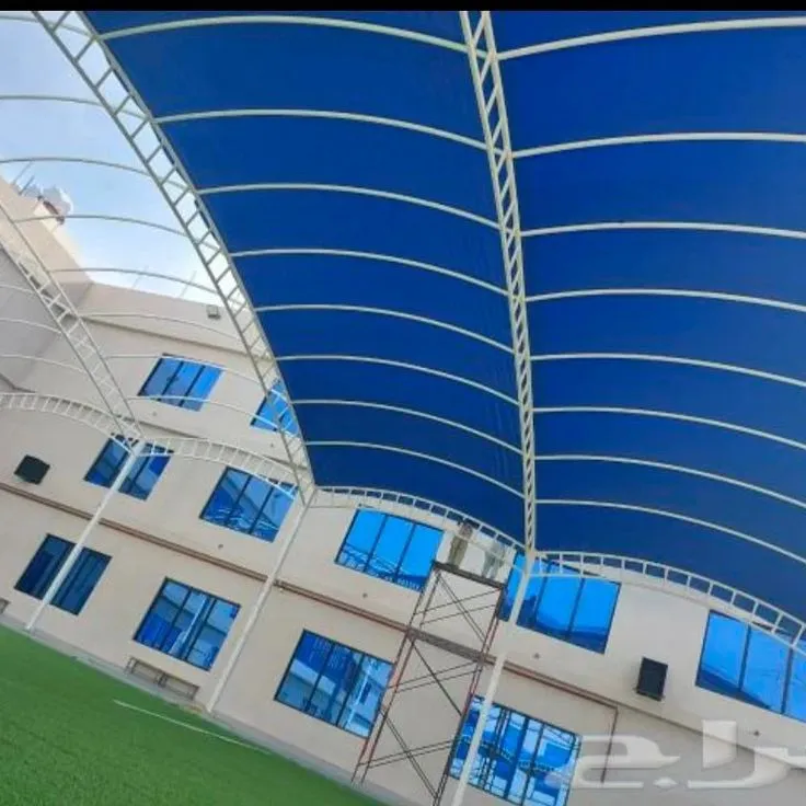 صورة المقال