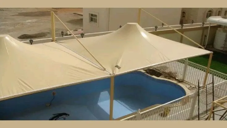 صورة المقال