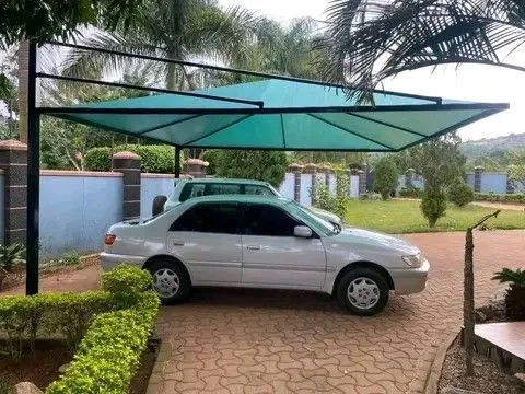 صورة المقال