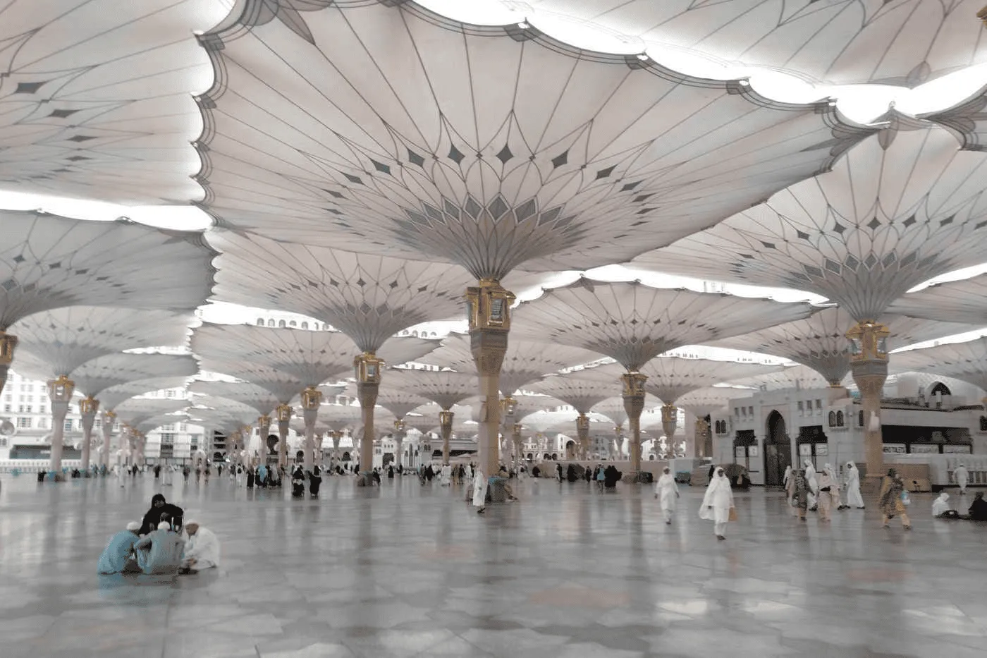 مظلات سيارات بالرياض حماية كاملة بأفضل التصاميم والأسعار
