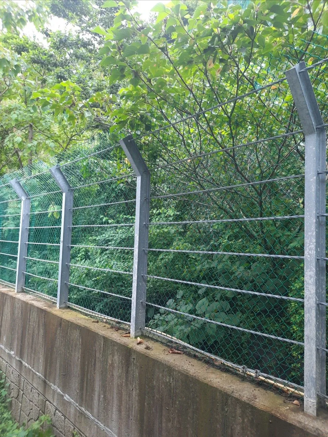 شبك سلك ثقيل – أفضل حماية للأحواش والمزارع الكبيرة في الرياض