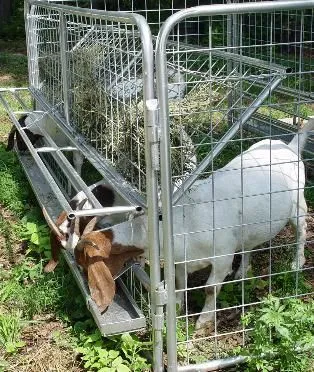 تسوير المناطق المفتوحة والمزارع بالشبوك في الرياض