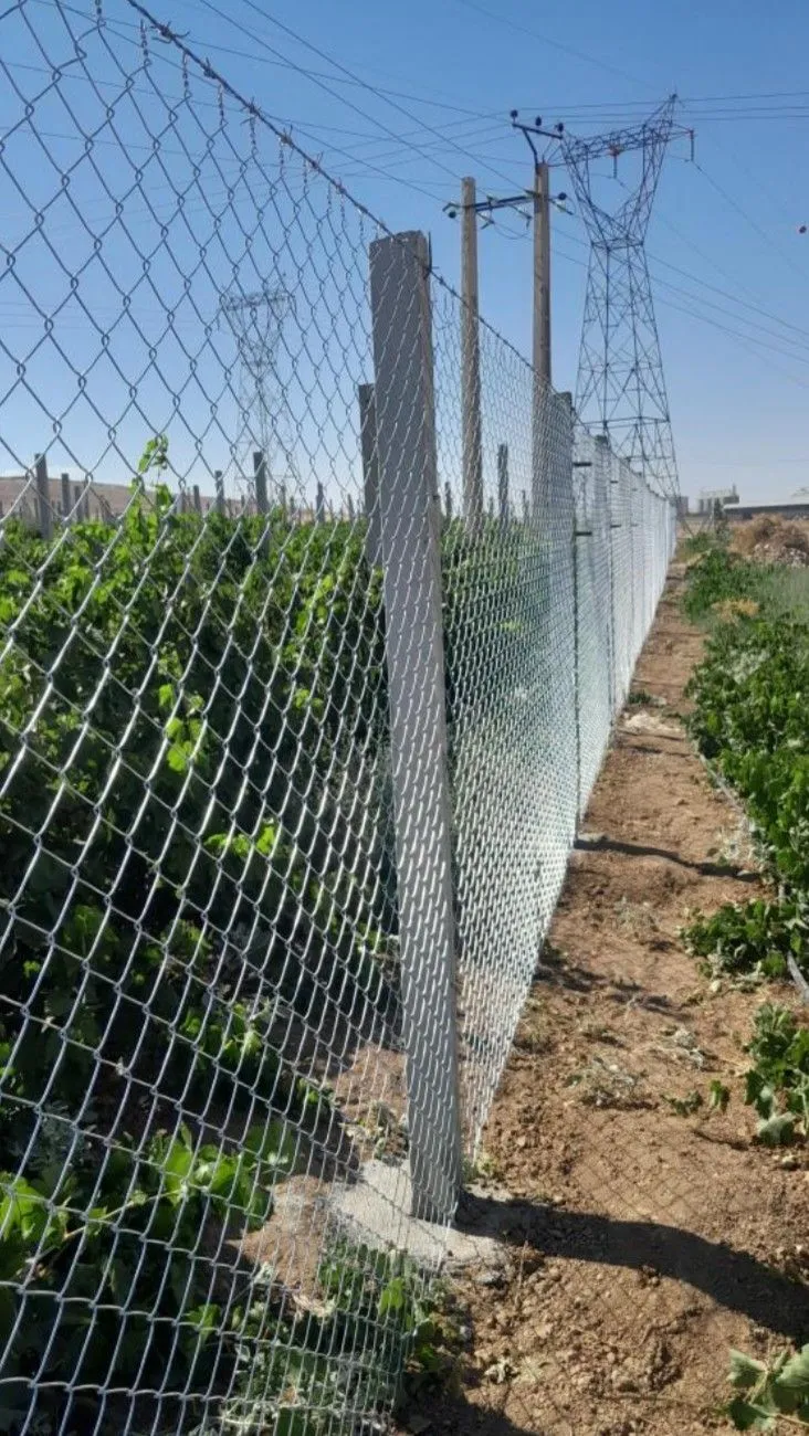 تسوير المناطق المفتوحة والمزارع بالشبوك في الرياض