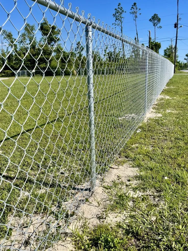 تسوير المناطق المفتوحة والمزارع بالشبوك في الرياض